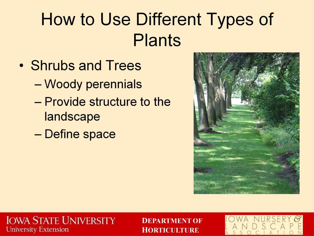 Shrubs and trees are essential to providing structure within the landscape. They are typically used to define space.