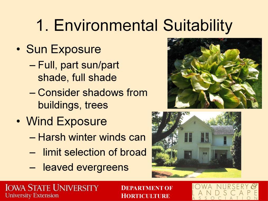 Environmental considerations should be the first used to evaluate a plant s suitability for a location. There are many factors that go into determining a plant s environmental suitability.
