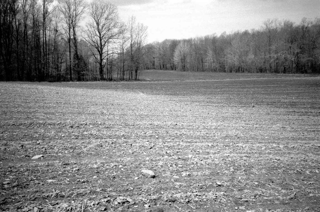 Ashtabula County, Ohio 135 Figure 16. The Mill silt loam, 0 to 2 percent slopes in the cultivated field is prime farmland if drained.