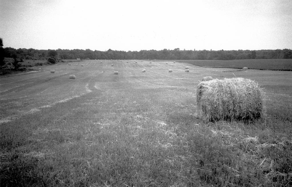 Ashtabula County, Ohio 143 Figure 19. Grass-legume hay yields are given as indexes in Table 9 Crop Yield Index. The soils in this hay field are mostly Platea.