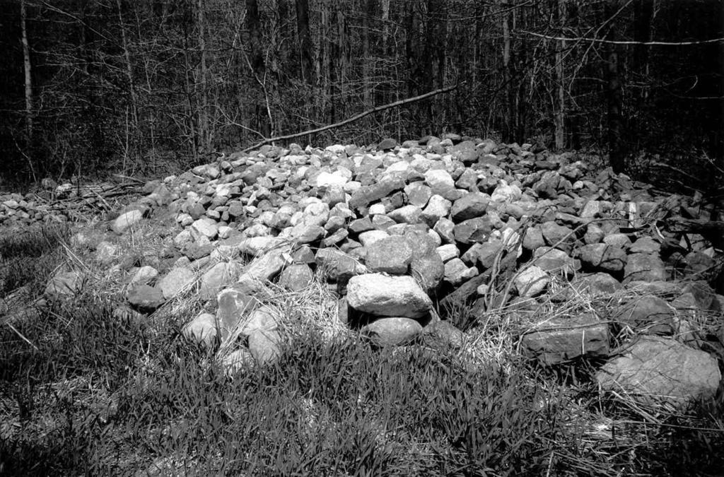 Ashtabula County, Ohio 15 Figure 4. Relatively few farmstead rock piles remain in Ashtabula County because they provide material for construction.