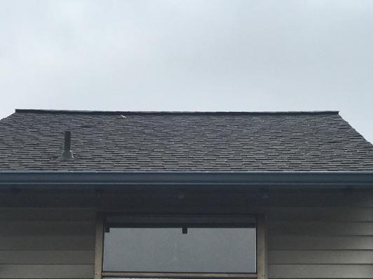 1. Roof Condition Roof Architectural Composition shingle.