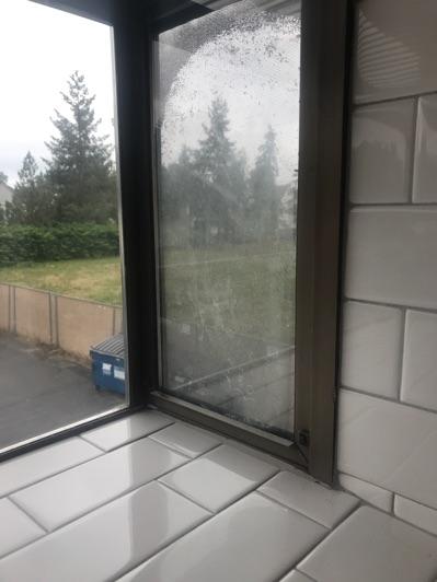 12. Window Discoloration/condensation