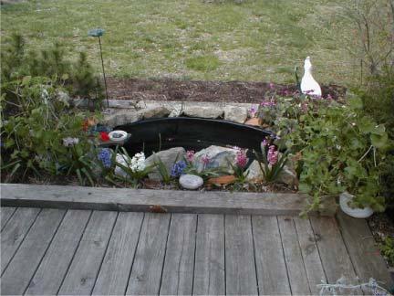 Fish pond fed from