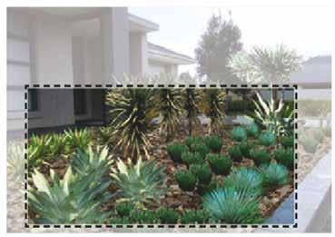 Landscaping features should maintain a degree of passive surveillance of entry points to dwellings. 6. Landscape elements should not interfere with utility services. 7.