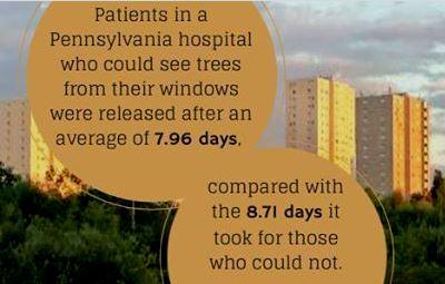 patients with views of buildings or empty lots.