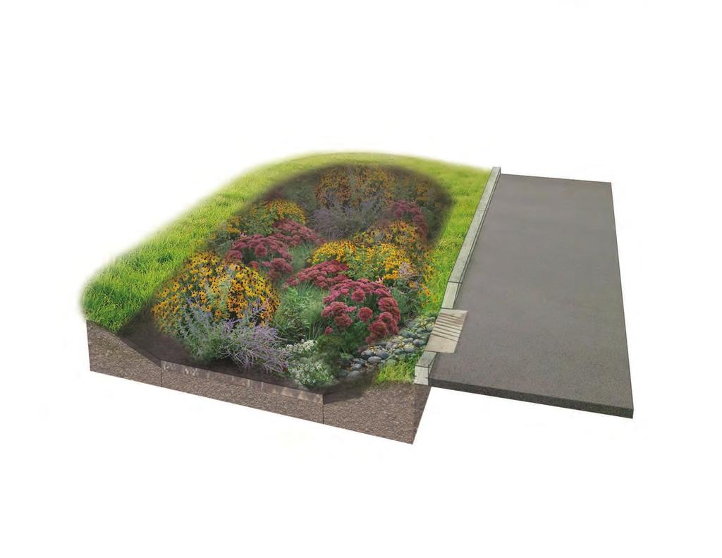 NATIVE PLANTS A rain garden is planted with a variety of grasses, wildflowers, and woody plants that are adapted to the soil, precipitation, climate, and other site conditions DRAINAGE AREA This is