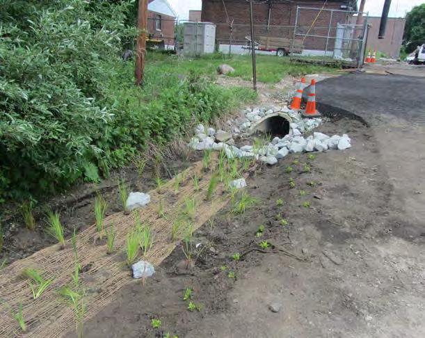 BIOSWALES Bioswales are landscape features that convey stormwater from one location to another while removing
