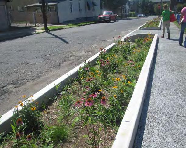 STORMWATER PLANTERS 30 Stormwater planters are vegetated structures that are built into the sidewalk to intercept