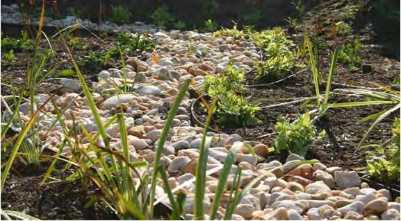 A community garden that harvests and recycles rainwater 8 WHAT IS GREEN INFRASTRUCTURE?