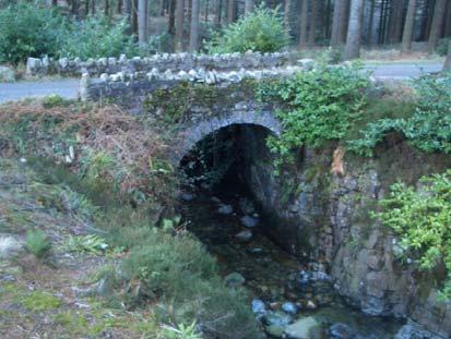 All the bridges in Tollymore are vital links in an extensive network of serpentine paths that wind through woodlands, and run alongside and across the river, creating one of the most memorable and
