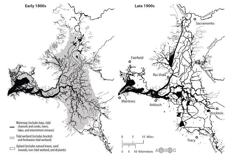 waterways tidal wetlands Whipple et al.