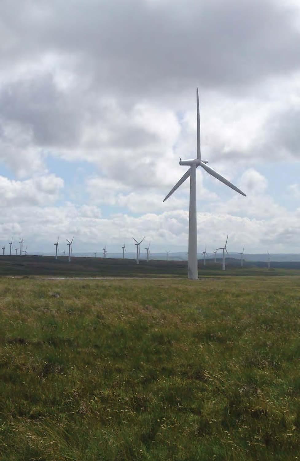 Designing Wind Farms
