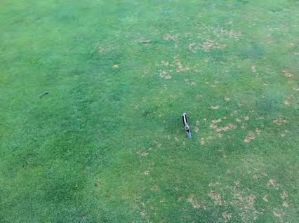 Our dollar spot activity started in late March this year, about 4 weeks ahead of schedule.