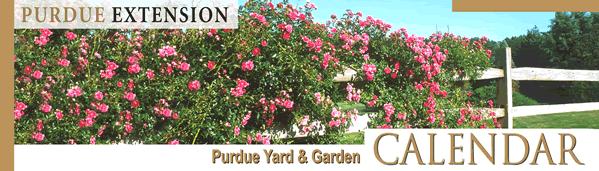 Purdue Yard & Garden CALENDAR: March By: B. Rosie Lerner Purdue Extension Consumer Horticulturist HOME (Indoor plants and activities) Begin fertilizing houseplants as new growth appears.
