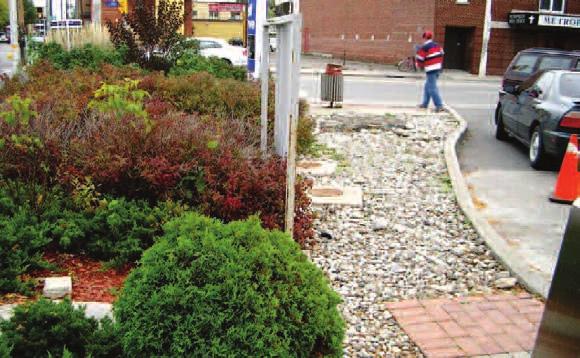 Landscape and Environment Figure 17: Landscaping at the corner strengthens the streetscape without blocking views. Figure 18: The planting island collects and stores stormwater.