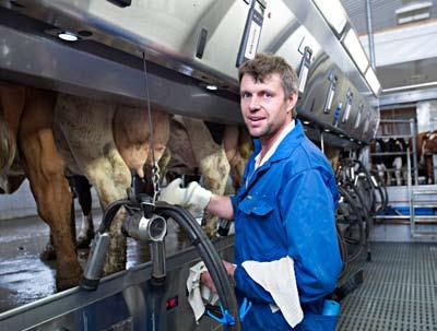Elegant integrated milking point DeLaval milking point MP780 provides for easy and efficient milking, and connects to ALPRO for access to all cow data.