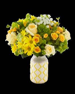Hello Sunshine Bouquet (S1) CONTAINER 1905 $50 Standard $65 Deluxe STANDARD (19-S1s) 2 Yellow Spray Rose 2 Pale Yellow