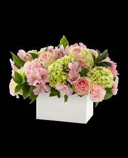 Sweet Charm Bouquet (S6) CONTAINER 1909 STANDARD (19-S6s) 3 Pink Alstroemeria 2 Israeli Ruscus DELUXE (19-S6d) 4 Pink Alstroemeria 4 Pink 50 cm Roses 3 Israeli Ruscus PREMIUM (19-S6p) 7 Pink
