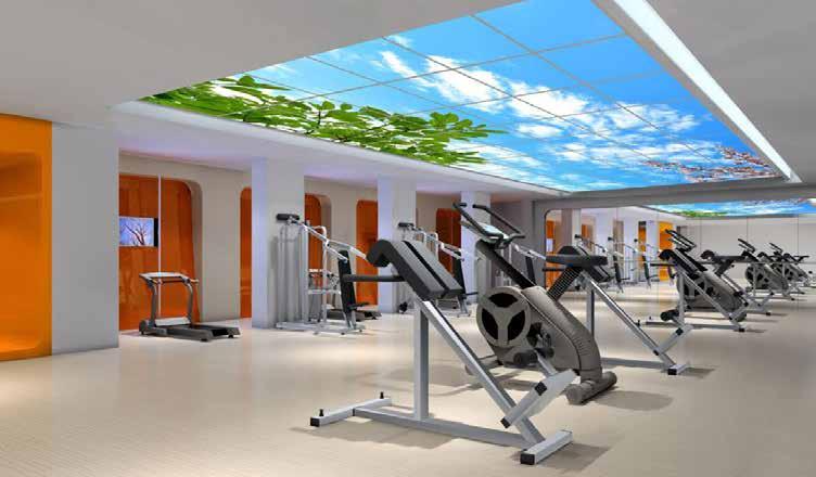 can transform the typical gym into a simulated outdoor