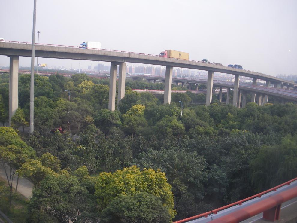 Shanghai Greening Master Plan - green corridors along roads (i.e. 100m wide green belt along expressways, 50m for major roads and 25m for secondary roads).