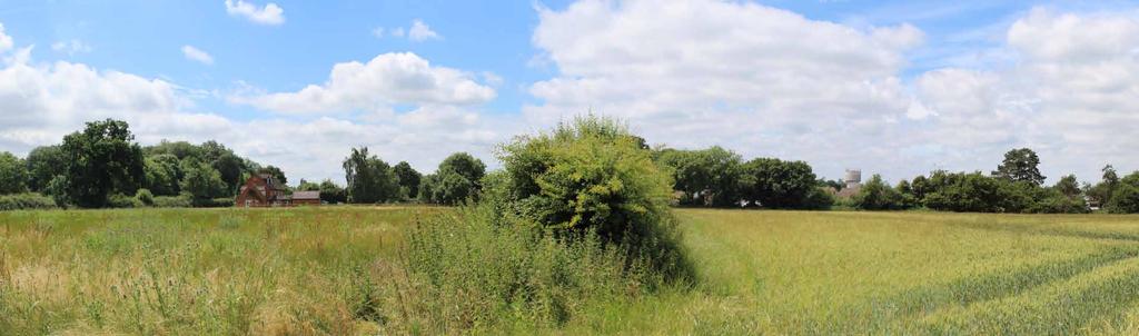 The northernmost edge of the Site is bound to the north by a small woodland copse set around a disused chalk pit.