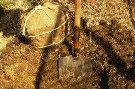 Planting Trees and Shrubs in the Landscape Planting holes should never be dug when the soil is saturated with water. Side walls of a hole dug in a clay soil become glazed just like a ceramic pot.