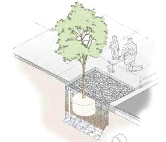 1 Bioretention systems Bioretention systems are specially designed garden beds which filter stormwater runoff from surrounding areas or from stormwater pipes.