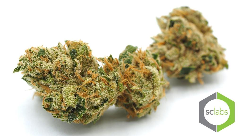 Bubble Gum: Nature-Cide ID - HYB-BB-MED-X THC - 18.