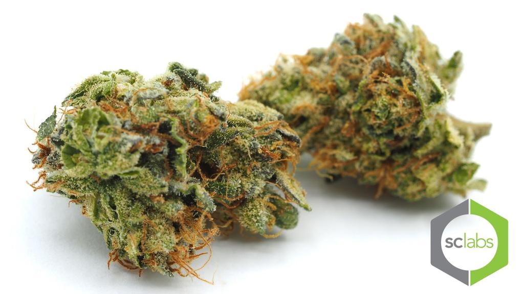 Girl Scout Cookies: Nature-Cide ID - HYB-GSC-MED-X THC -