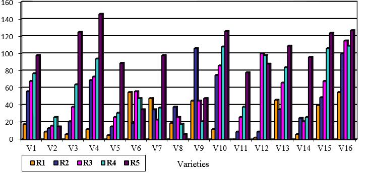 Figure 3b: Mean number of roots per culture on various rooting media (6 weeks after