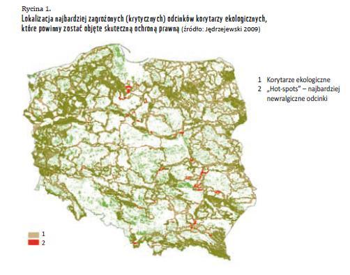 Localization of most threatened parts of ecological corridors which should be taken under law