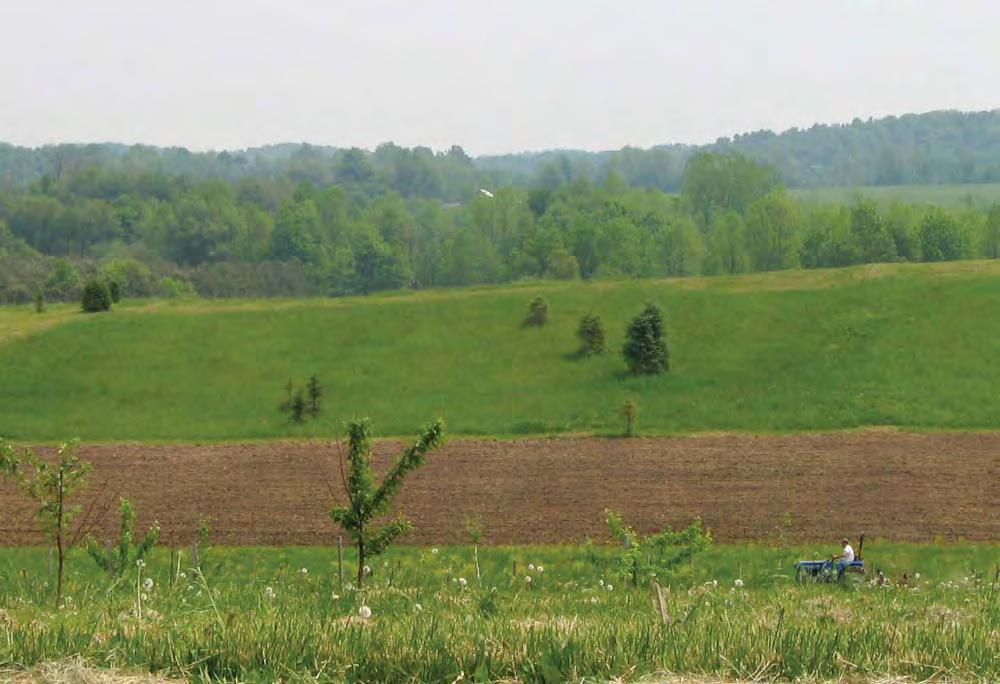 Working farmland in the Town of Victory, 2008.