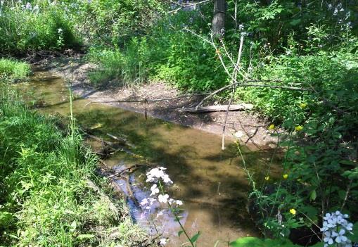 required to reduce runoff volumes and protect aquatic habitat and wetlands. Scale is important!