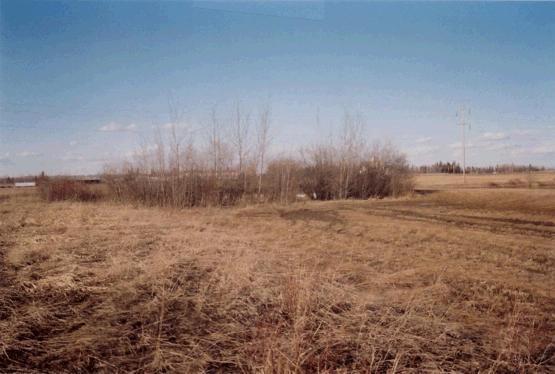 PHOTO #1: Stony Plain Site Looking northeast from central portion of Site.