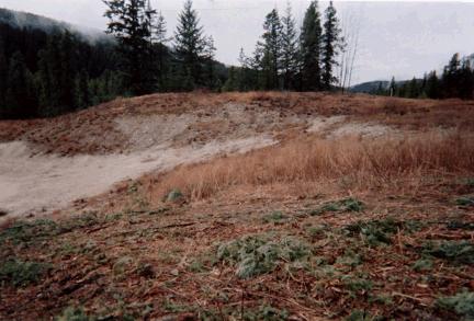 PHOTO #7: Rearguard Site The southern portion of the