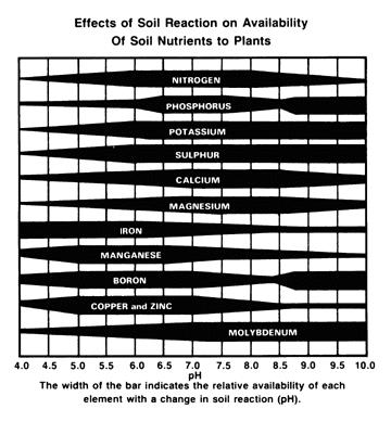 Soil Testing Soil acidity The optimum ph range for most plants between 6.0 and 7.
