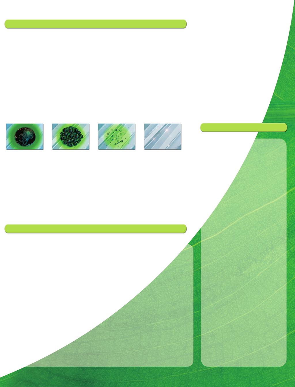 HOW DOES SIMPLE GREEN WORK? MPF Micro-Particulate Fractionalization The key to Simple Green s cutting-edge formulation is MPF Micro-Particulate Fractionalization.
