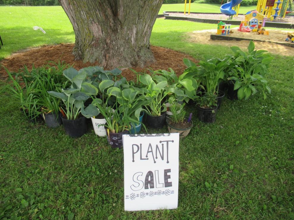 Another Fund Raiser: Plant Sale: Crawford County Master Gardener Volunteers