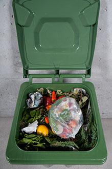 Put food scraps in freezer until collection day, then add them to your Green Cart.