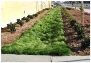 Swales and Retention Can be a traditional swale Can be a shallow retention area for grassed yard areas to allow
