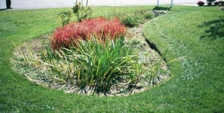 Bioretention (Rain Gardens) Special form of a swale or retention Added aesthetic