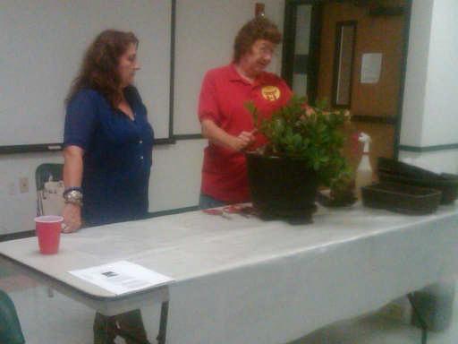 Upcoming Events: August 14 th Wednesday Workshop Garden Senior Center 7p.m.-9p.m. CCBC July 2013 s Meeting Minutes (Cont) Meeting was adjourned at 7:20 pm for refreshments and program on Root over Rock presented by Versie and Beverly.