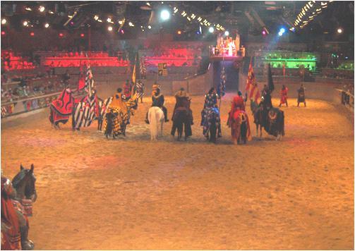 We were then taken to Medieval Times over our objection. (The tickets had already been paid for.) It was as disappointing as I expected.