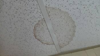 Floors, Ceilings & Walls Past or present water stains, dry at time of inspection.