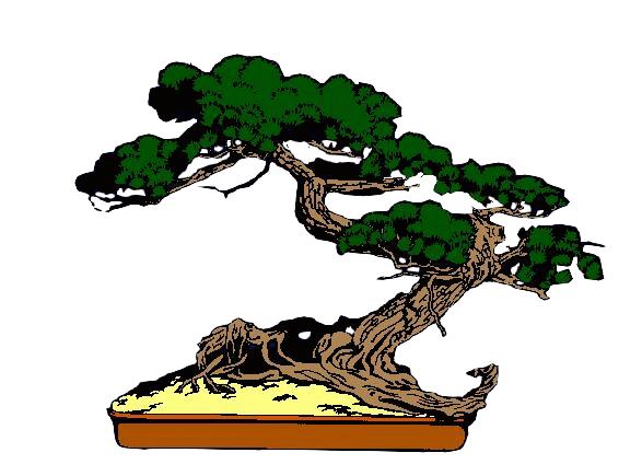 nice to be able to visit other bonsai collections and bring back comments and ideas to share. Some members are traveling to Washington D.C.
