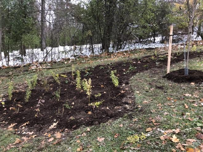 Two planting beds and a total of 200 root systems, all of which grow deeper and denser than the existing turf grass, were added to the property.