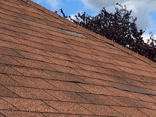 1. Roof Condition Roof Composition shingle roof surface.