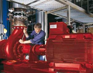 Grundfos systems pump groundwater from wells, help with water purification,