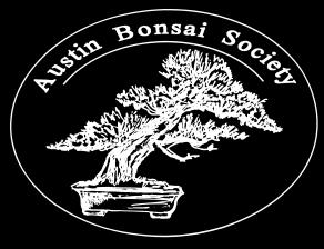 Bonsai Notebook www.austinbonsaisociety.